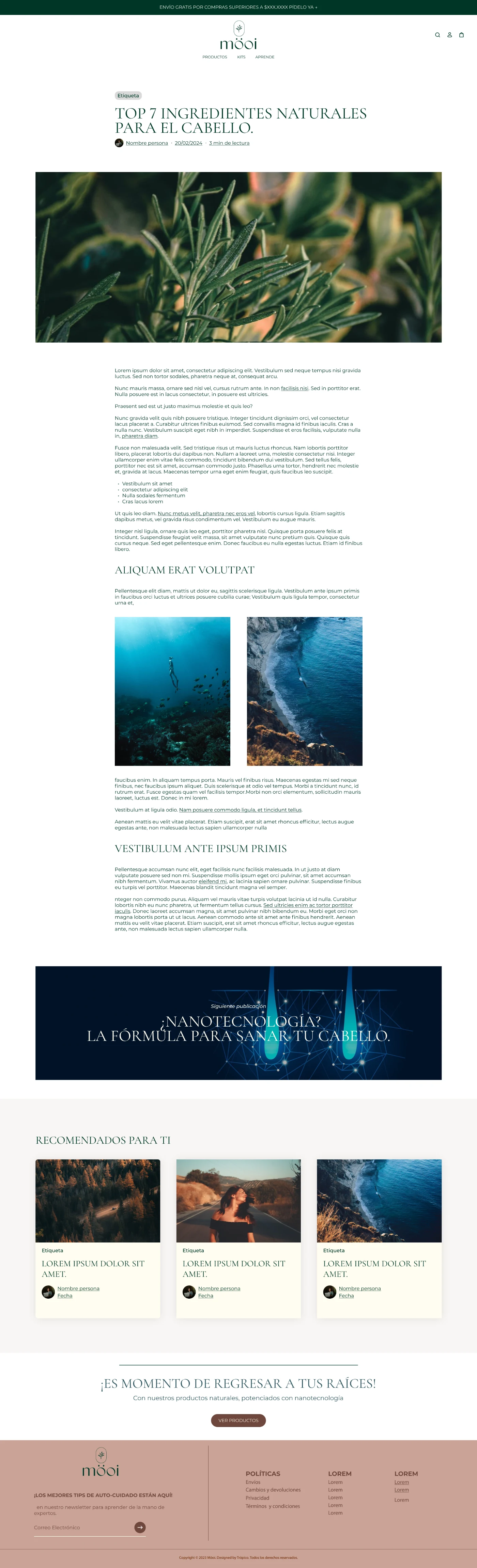 Article