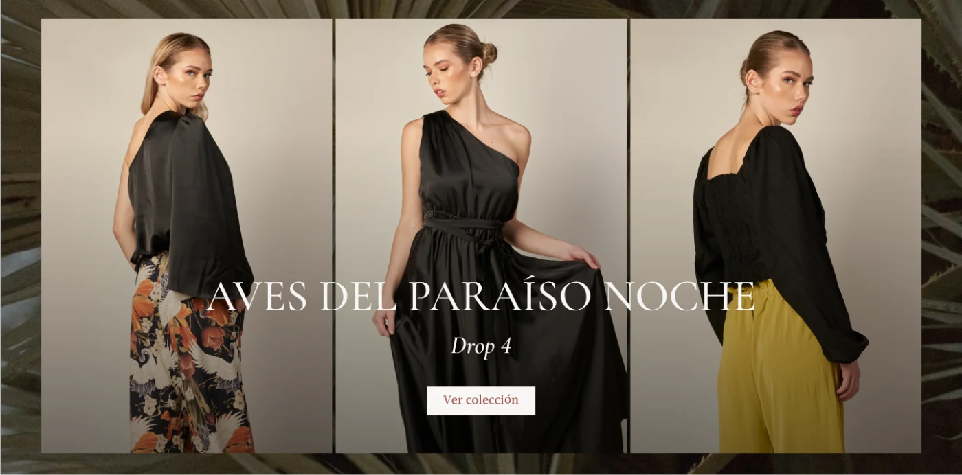Banner Aves del paraíso noche