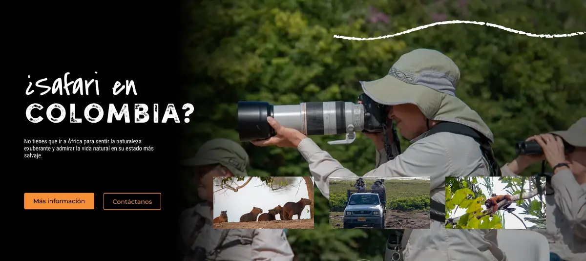 Banner ¿Safari en Colombia?